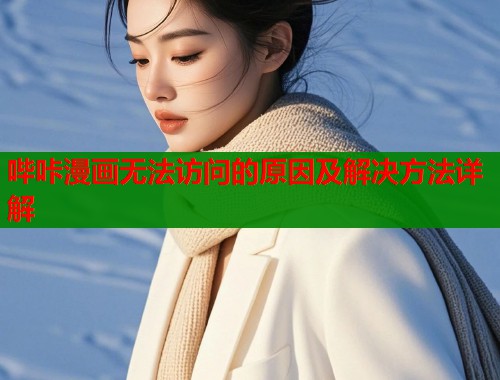 哔咔漫画无法访问的原因及解决方法详解  第1张